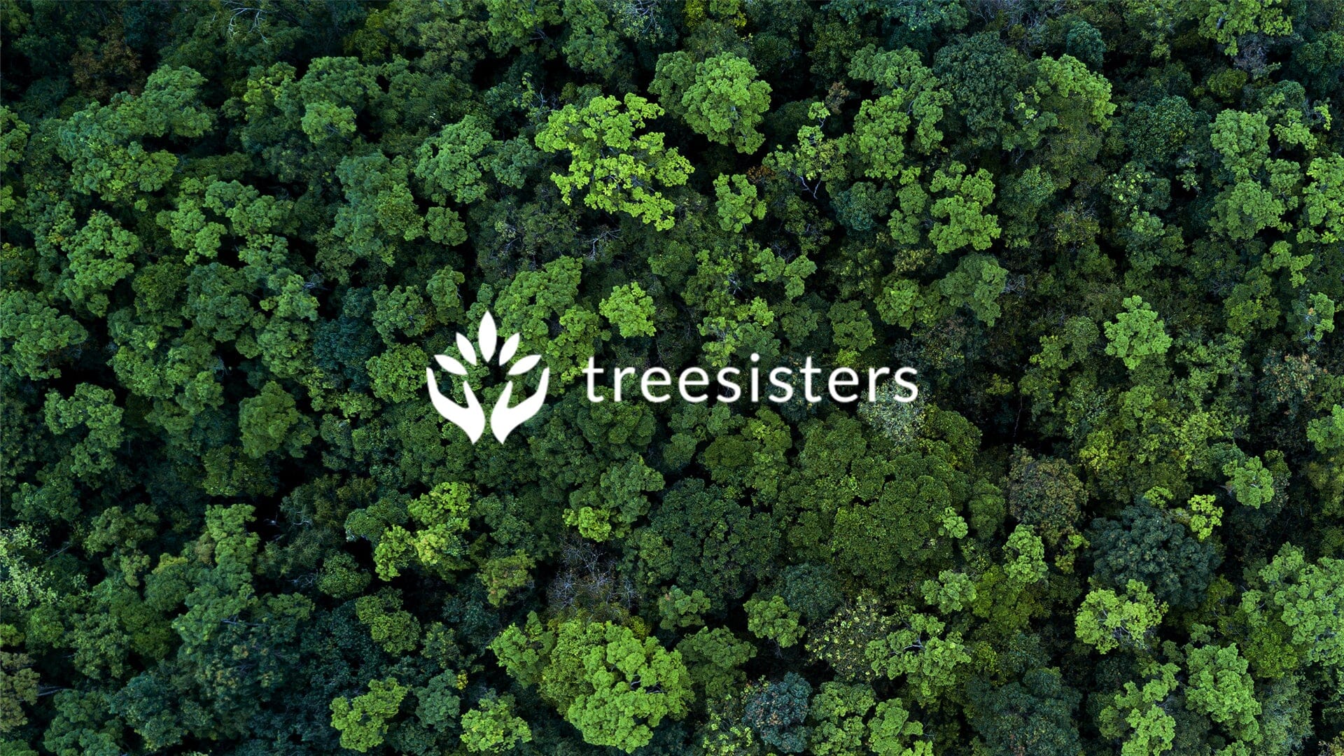 Supporting Global Reforestation & Women’s Empowerment with TreeSisters